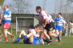 XVartrose-chonchon090