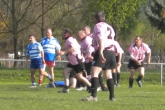 XVartrose-chonchon095