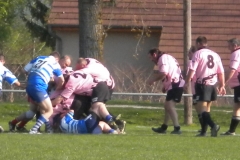 XVartrose-chonchon096