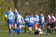 XVartrose-chonchon098