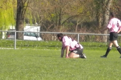 XVartrose-chonchon099