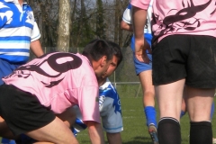 XVartrose-chonchon101