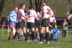 XVartrose-chonchon102