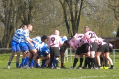 XVartrose-chonchon104