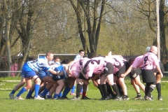 XVartrose-chonchon105