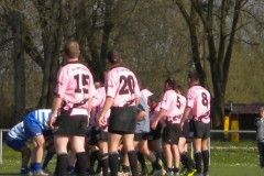 XVartrose-chonchon106