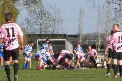 XVartrose-chonchon107