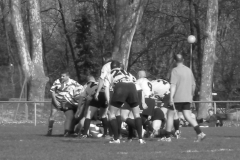 XVartrose-chonchon109