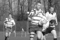 XVartrose-chonchon110