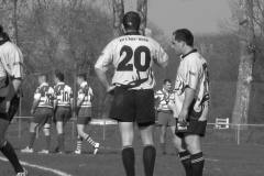 XVartrose-chonchon112