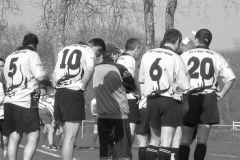 XVartrose-chonchon115