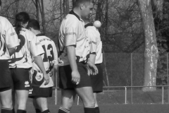 XVartrose-chonchon117