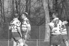 XVartrose-chonchon118