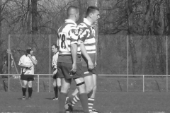 XVartrose-chonchon119