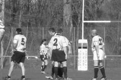 XVartrose-chonchon120