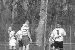 XVartrose-chonchon121