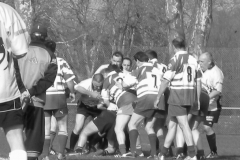 XVartrose-chonchon123