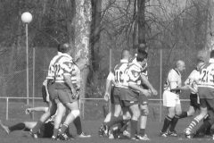 XVartrose-chonchon124