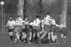 XVartrose-chonchon125