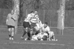 XVartrose-chonchon126