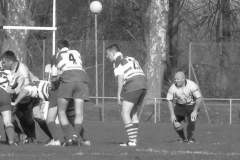 XVartrose-chonchon127