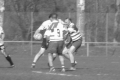 XVartrose-chonchon129