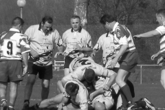 XVartrose-chonchon130