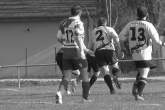 XVartrose-chonchon133