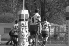 XVartrose-chonchon134