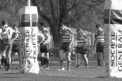 XVartrose-chonchon136