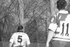 XVartrose-chonchon139