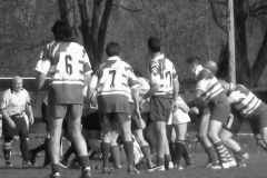 XVartrose-chonchon142