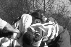 XVartrose-chonchon145