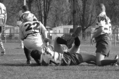 XVartrose-chonchon151