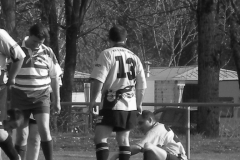 XVartrose-chonchon154