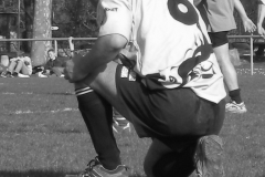 XVartrose-chonchon156