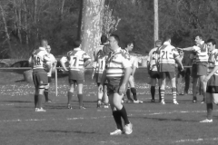 XVartrose-chonchon157