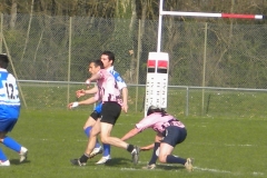 XVartrose-chonchon162