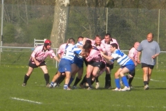 XVartrose-chonchon163