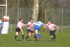 XVartrose-chonchon165