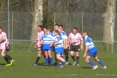 XVartrose-chonchon166