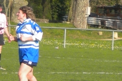 XVartrose-chonchon173