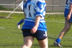 XVartrose-chonchon178