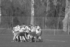 XVartrose-chonchon184