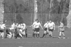 XVartrose-chonchon185