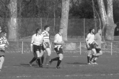 XVartrose-chonchon188