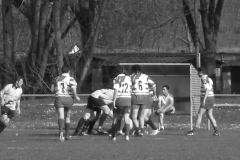 XVartrose-chonchon189