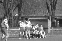 XVartrose-chonchon190