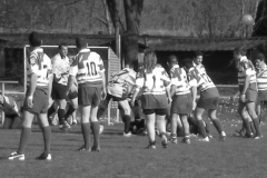 XVartrose-chonchon191