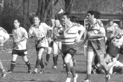 XVartrose-chonchon194